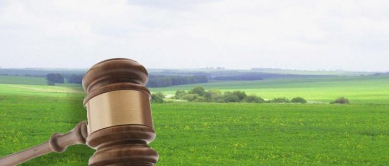Выгодные покупки: земельные участки с торгов по доступной цене