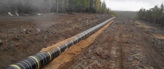 Расчистка газопровода: почему зарастающие трассы становятся проблемой номер один